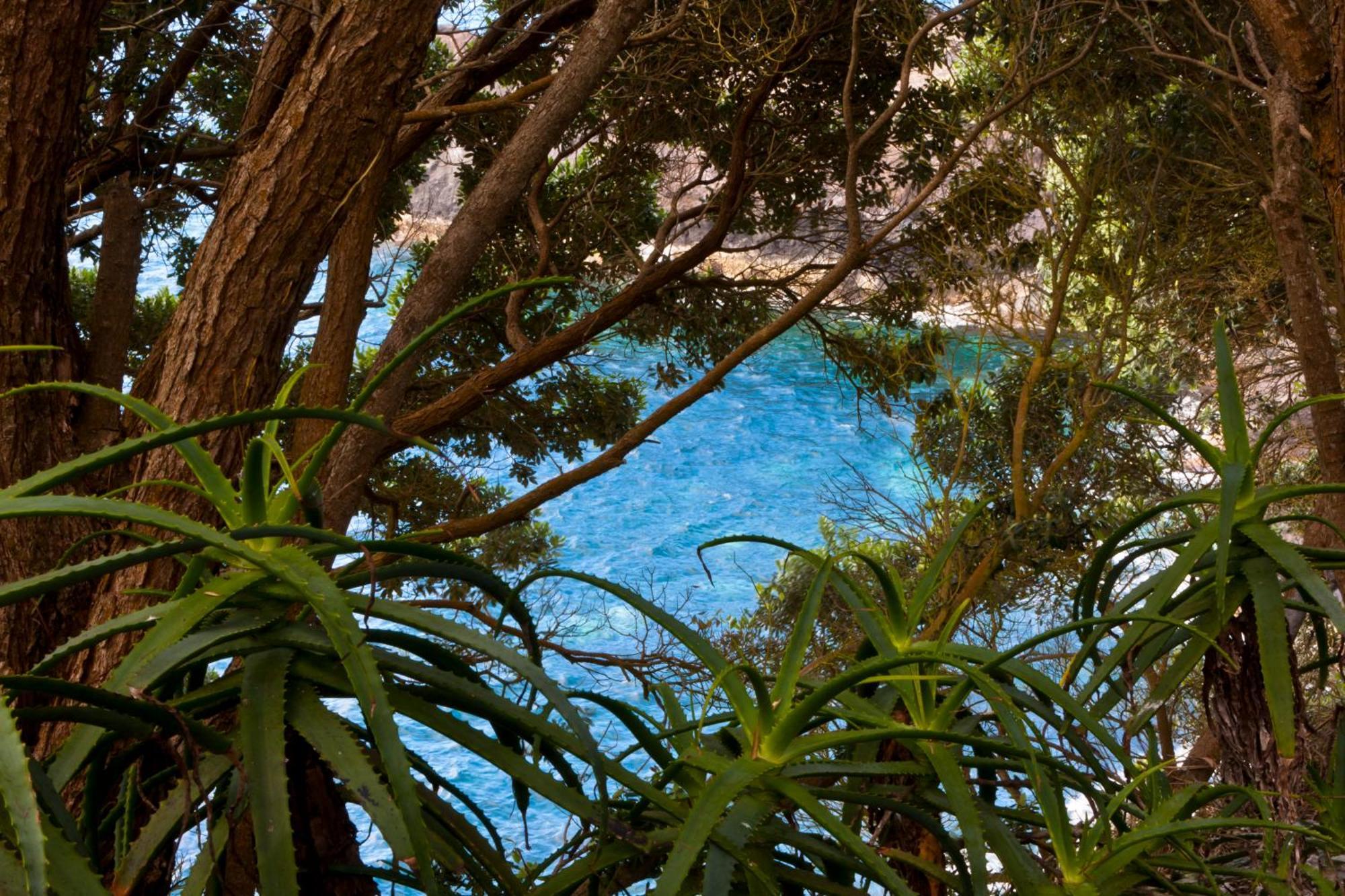 Aldeia Da Fonte Hotel لاجيس ادو بيكو المظهر الخارجي الصورة
